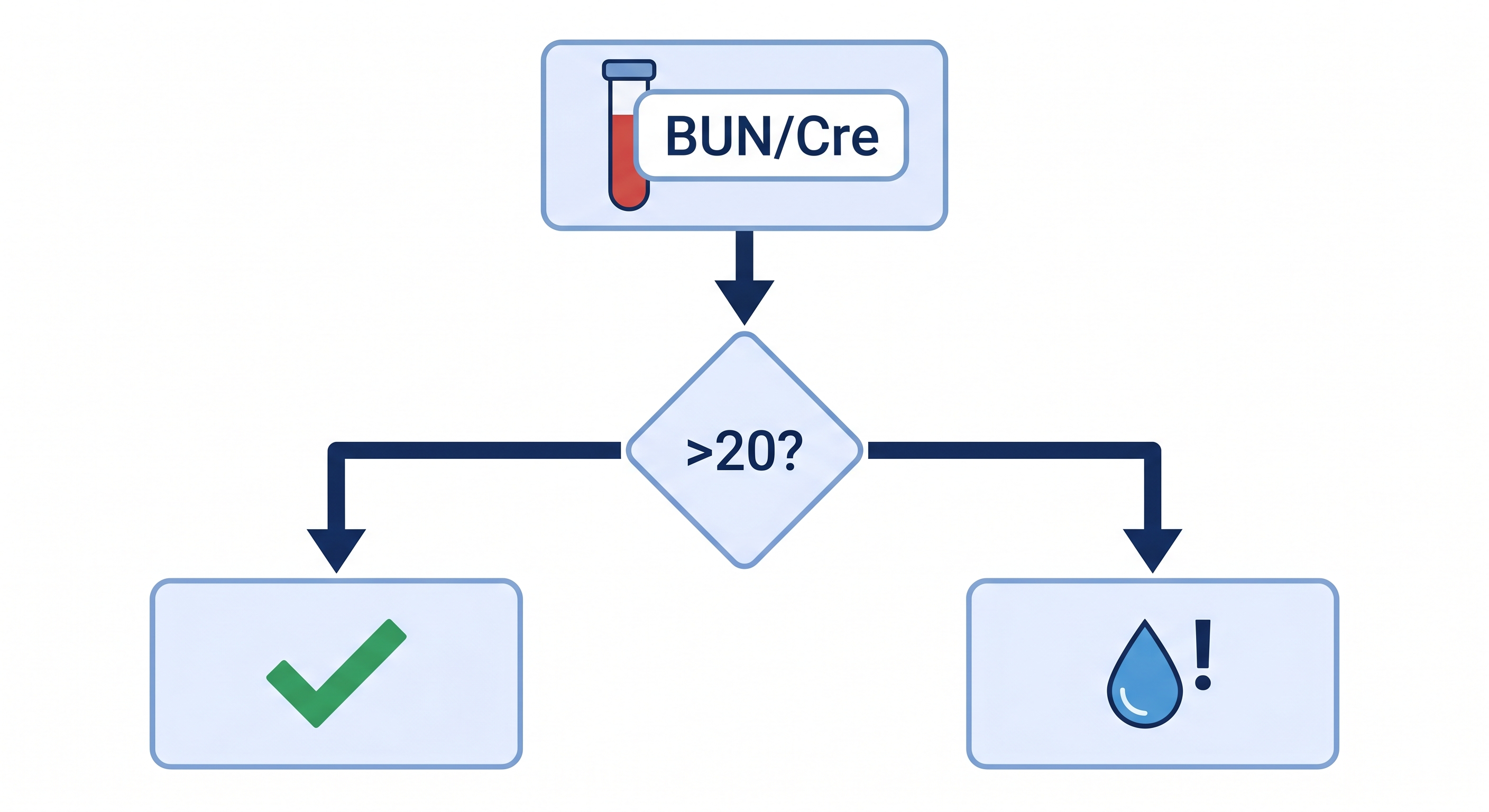 BUN/Cre比の解釈フロー