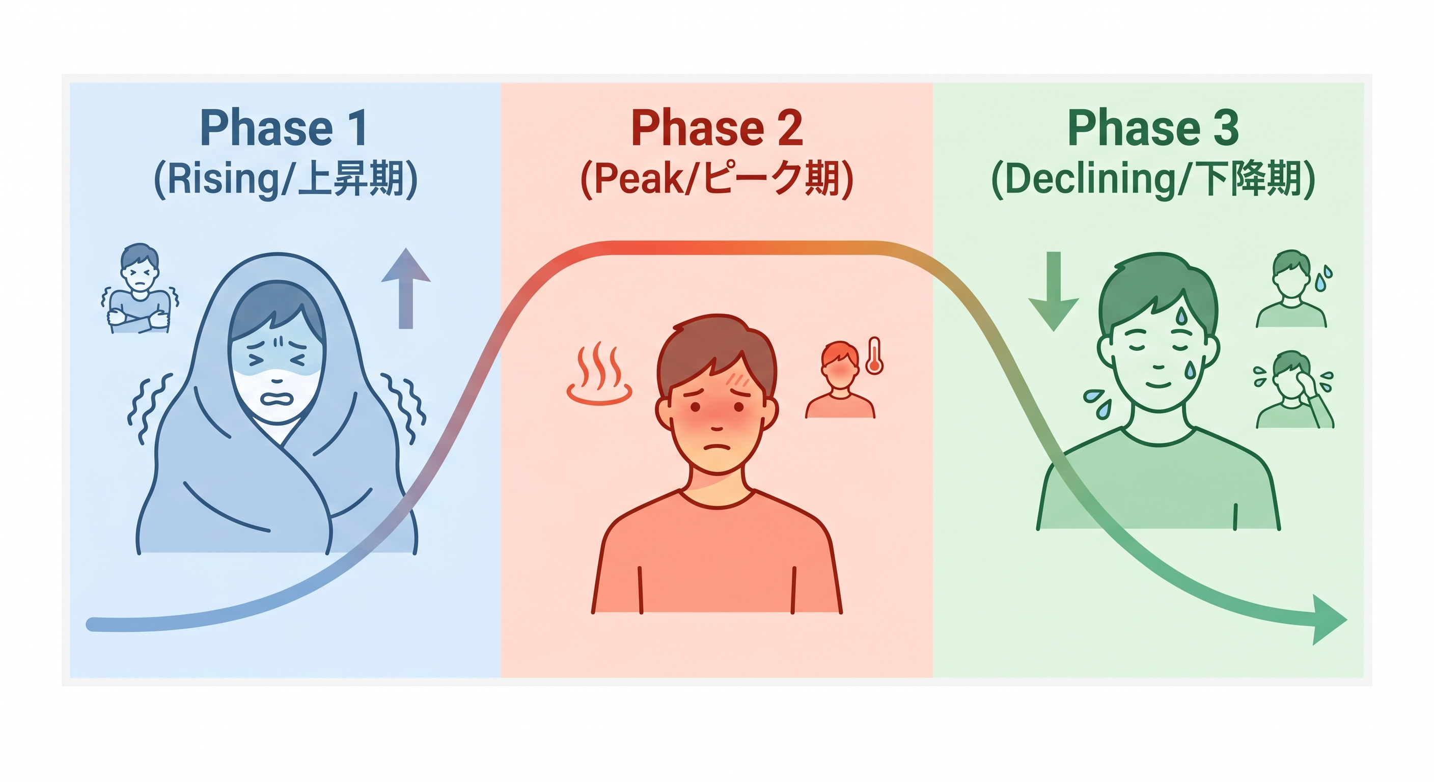 発熱の3フェーズ(上昇期・ピーク期・下降期)と体の反応